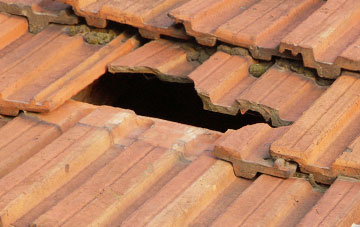 roof repair Roe Green